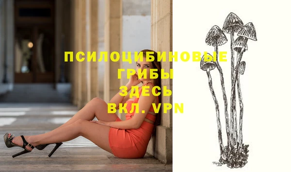 спайс Алексин