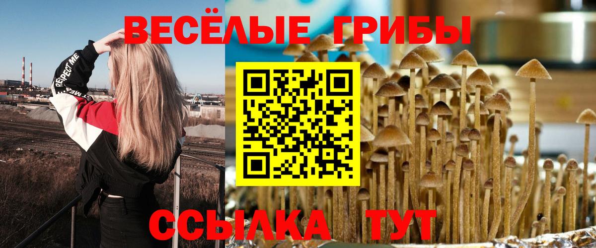 Псилоцибиновые грибы Cubensis Южно-Сахалинск