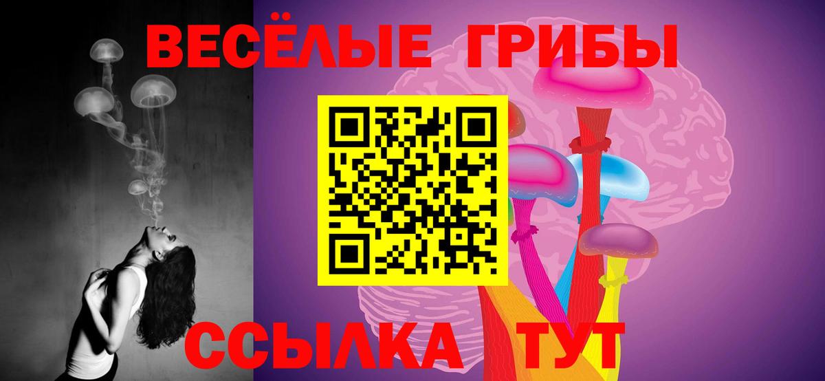 Южно-Сахалинск  Галлюциногенные грибы прущие грибы  Вход с VPN  Псилоцибиновые грибы ЛСД 